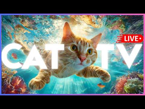 🔴 24/7 CAT TV + MUSIC for Bored, Lonely + Anxious Cats 🐠 🐱