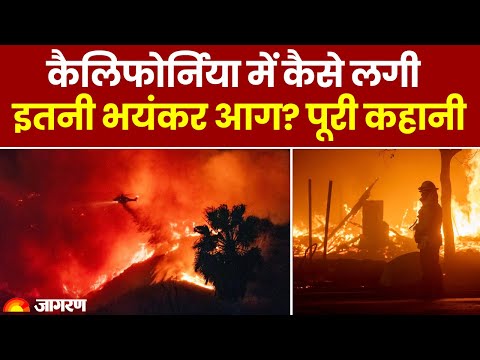 Los Angeles Wildfires: ऐसे तो जल जाएगा पूरा Hollywood! डरा देंगी California आग की तस्वीरें | News