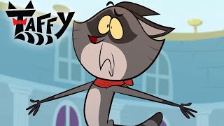 Taffy’s Secret Cast Catastrophe! 🩹😼 | Taffy