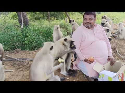 गाड़ी के ऊपर और केप्टन मेरे साथ 🙏jay siyaraam🙏