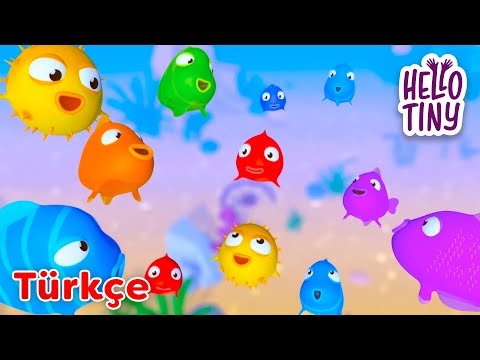 Mavi Balık Nerdesin? 🐟 | Bebekler için şarkılar | Hello Tiny Türkçe