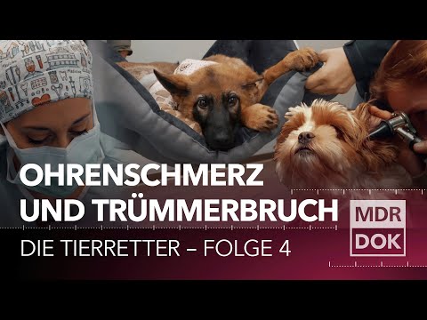 Lebensretter inside – Die Tierretter: Betsy und der Trümmerbruch (Folge 4) | MDR DOK