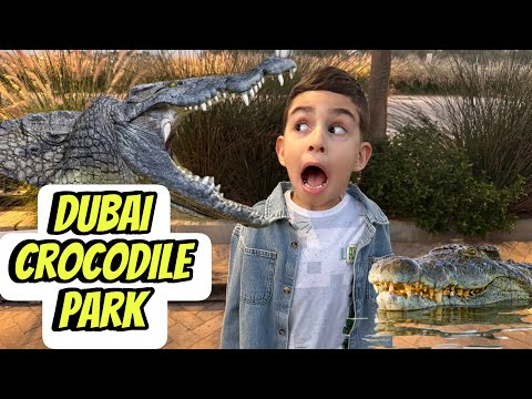 زرنا حديقة دبي للتماسيح 🐊.. انصدمنا من تمساح وزنه ٥٠٠ كيلو 😱