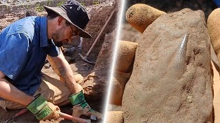 Fossil Hunting In Poland