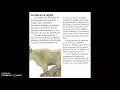 Mountain Towns and Environmental Impact