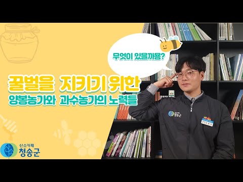 양봉&과수농가 필독! 꿀벌을 지키자