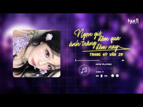 Ngọn Gió Đêm Qua, Ánh Trăng Đêm Nay - Trang Kỳ Văn 29 (DJ-lucky小阳版) | 庄淇玟29 - 昨夜风今宵月 | Remix TikTok