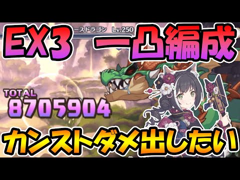 【プリコネR】ラースドラゴンを１凸で倒せる編成でカンストダメージを出したかった動画【ダンジョンＥＸ３】