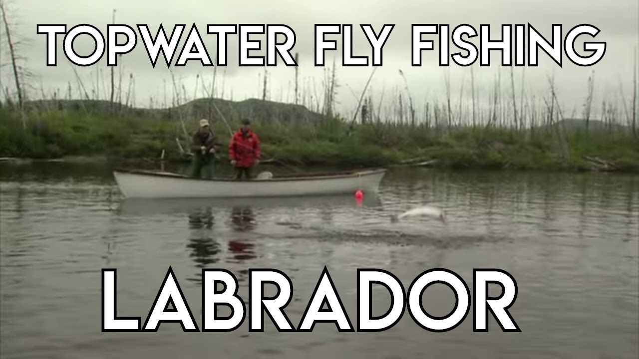 Topwater Fly Fishing in Labrador - Hunt River - The New Fly Fisher