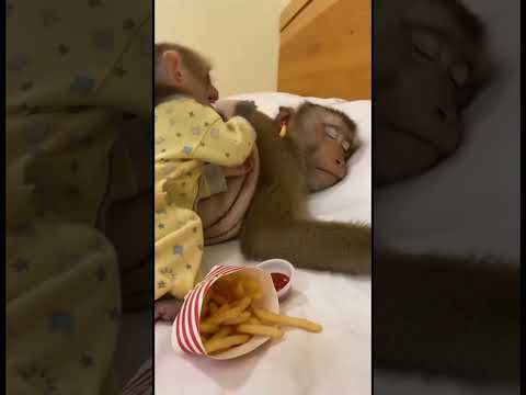 🍟🙈 #cute #funny #fyp