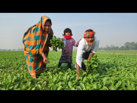 Winter Village Food ক্ষেতের টাটকা সরিষা শাক তুলে মাছ দিয়ে ভর্তা রেসিপি Fresh Mustard Leaf Mach Vorta