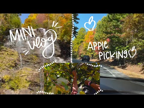 Apple Picking & Amicalola Falls