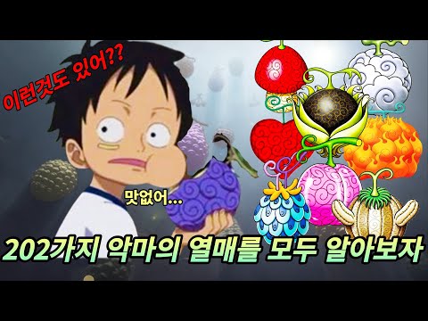 지금까지 나온 모든 악마의 열매 능력과 능력자를 알아보자!