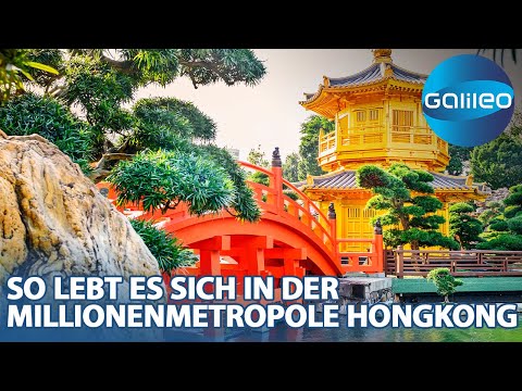 Von Drachentoren bis zur längsten Rolltreppe der Welt: So lebt es sich in Hongkong!