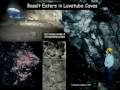 Exploring Life in Extreme Environments and Beyond