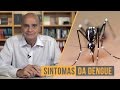 Tratamento e Sintomas da Dengue