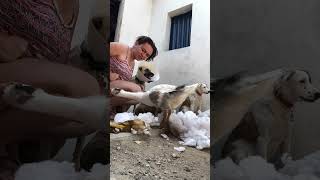 Como é que pode em