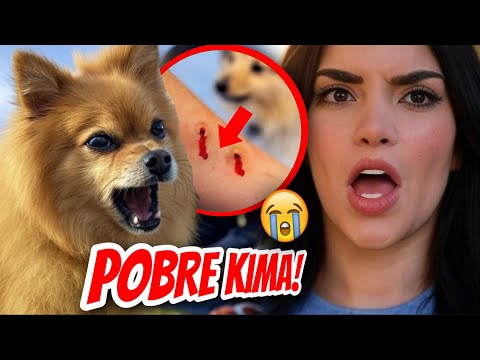 LA M0RDIERON! 🔴😱 (KIMA Y JUANITO SUFREN POR CULPA DEL JUKITO) 🐕 Y A KIMBERLY LOAIZA