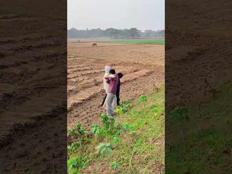 জাপানি কাকতাড়ুয়া | #shorts #comedy #funny #viral