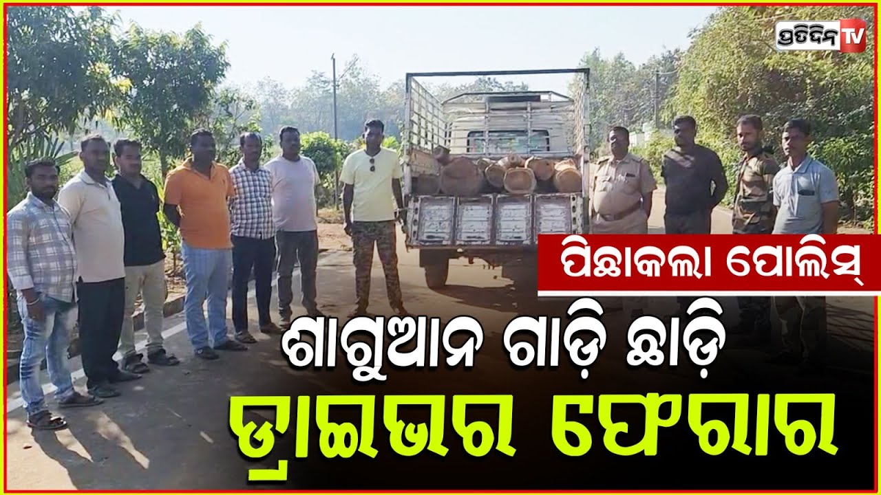 ପେଟ୍ରୋଲିଂ ଗାଡ଼ି ଦେଖି , ଡ୍ରାଇଭର ଛାଡ଼ି ପଳାଇଲା ଶାଗୁଆନ୍ ବୋଝେଇ ଗାଡ଼ି l Sagwan Wood Seized In Ganjam