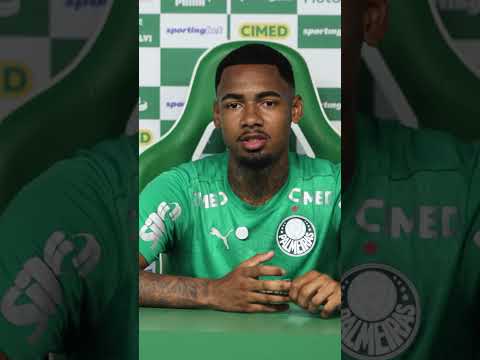 image para ilustrar o artigo