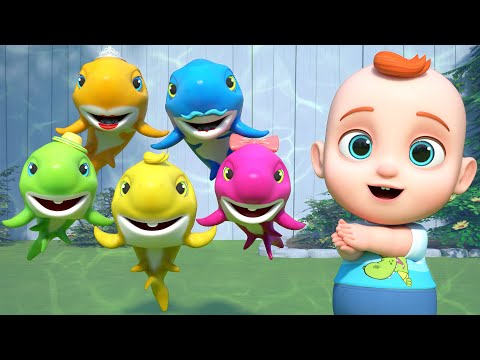 Baby Shark | Baby Shark Doo Doo Doo Dance + More | Boo Kids Song & Nursery Rhymes
