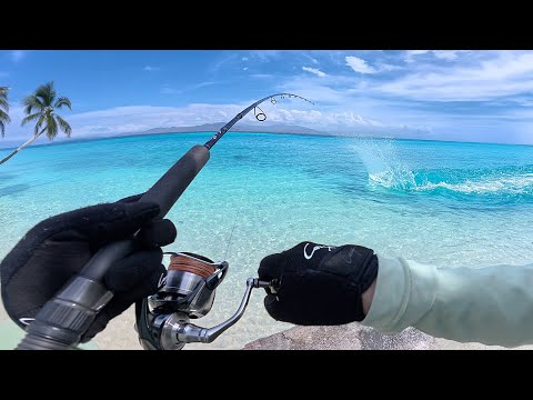 Solo Camping Where No One Goes – Hooking Monster Fish in Tropical Paradise!