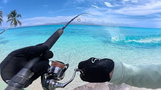 Hooking Monster Fish in Paradise - Solo Camping and Cooking