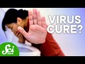 Understanding Stomach Viruses and New Treatments