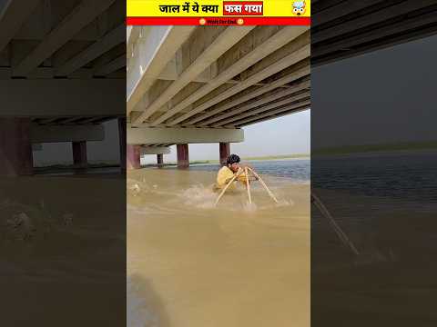 कोन सा मछ्ली फसा ? Wood working with art handcraft ideas/home madereal talent/skill-art‌ #shorts