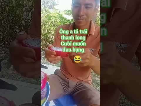 nói về trái thanh long cười té ghế 😂😂