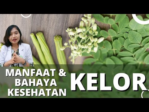 MANFAAT DAN BAHAYA KELOR UNTUK KESEHATAN | dr.Emasuperr