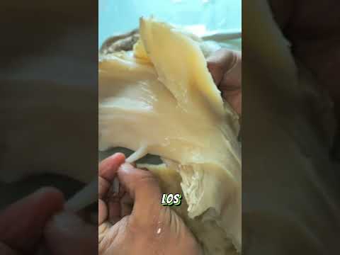 Carne que nunca se acaba