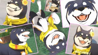 黒井しば3Dのかわいいまとめ！！！【切り抜き】