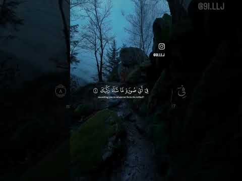 رب إني لما أنزلت إلي من خير فقير .....