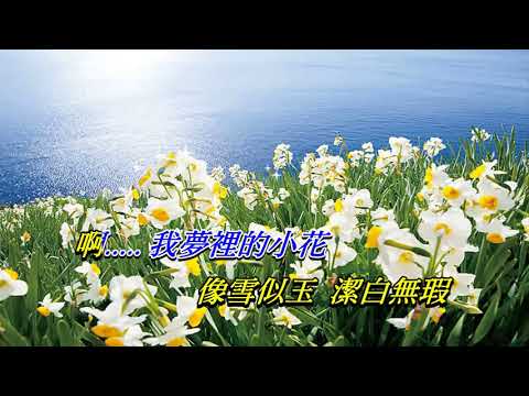 水仙〈華語〉羅文〈Live 卡拉版〉