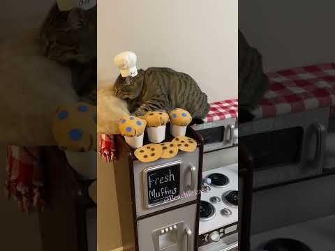 All her creations! ￼#ChefGary #Chef #TikTok #Instagram follow her peachie.cass on TikTok and insta