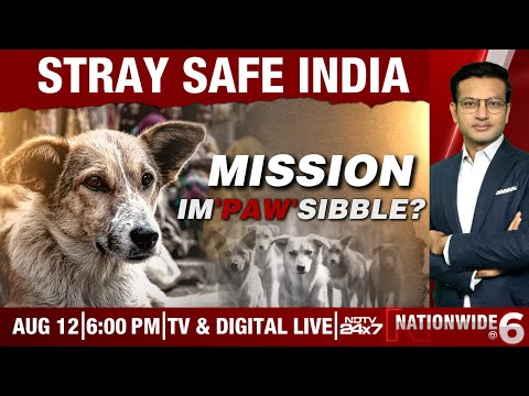 NDTV 24x7 LIVE TV: Stray Dog Menace | Supreme Court On Stray Dogs | Supreme Court News | Nationwide