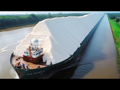 20 Largest Ships On Earth