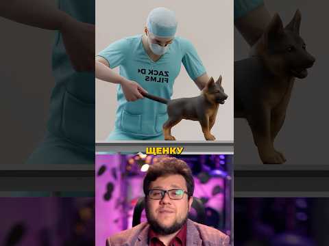 Как Купируют Хвост