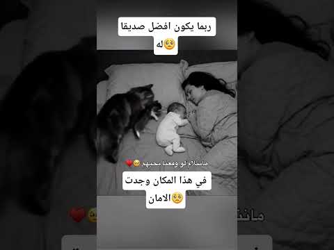 افضل الاصدقاء🙂🥺اجمل المواقف🥰 #حمادي
