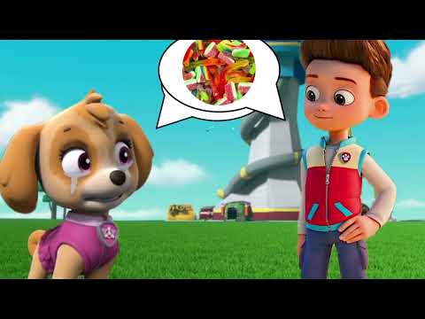 Paw Patrol Time Wrap Hyper Space Rescue Mission Funny Cartoon Animation Nick Jr HD