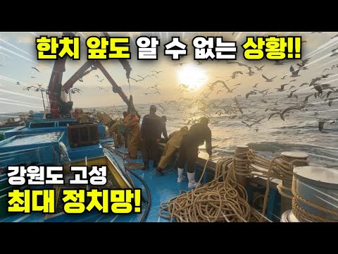 강원도 고성 최대 정치망 조업!! 한치 앞도 내다 볼 수 없는 긴박한 상황!!! 직접 배를 타보자!(with.임포수 형님)