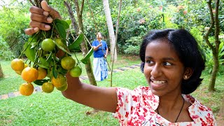 I made juice from Calamansi fruits in my garden to have with the Naan & Chicken curry my mother made