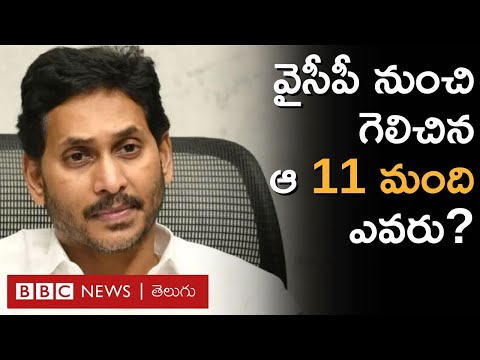 AP Election Results 2024 : వైఎస్ జగన్ వైసీపీ నుంచి గెలిచిన ఆ 11 మంది ఎవరు? | BBC Telugu