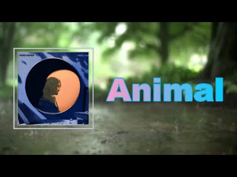Noah Kahan - Animal (Lyrics)