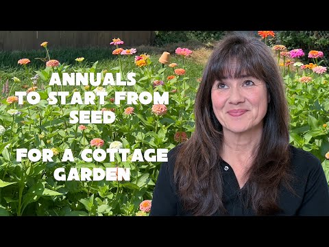 10 Annuals I’m Starting for My Cottage Garden in Middle TN