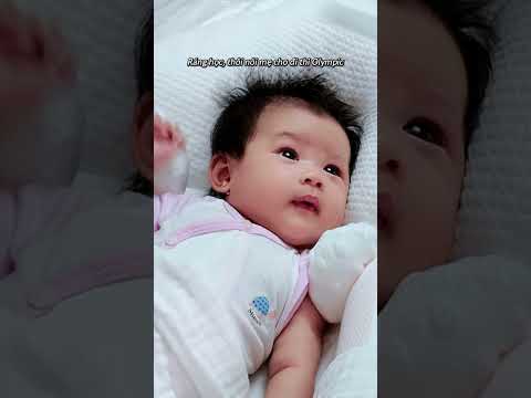 Macca học toán #maccaphan | Gon Pink
