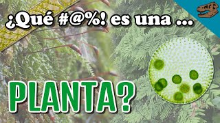 ¿Qué #@%! es una PLANTA?