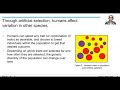 Evolutionary Concepts and Human Impact